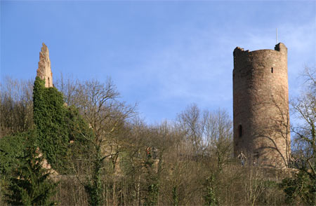 Außenansicht Ruine Scherenburg
