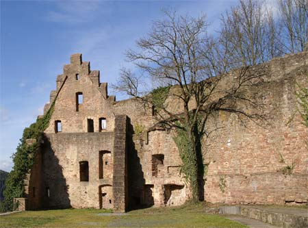 Außenfassade Ruine Scherenburg